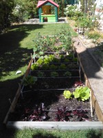 /album/fotogaleria/img-20150515-115906-1-jpg/